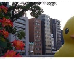 Kitahama, Osaka