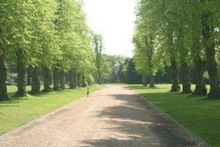 Dating contracts for daughters-in-Keingaro Forest