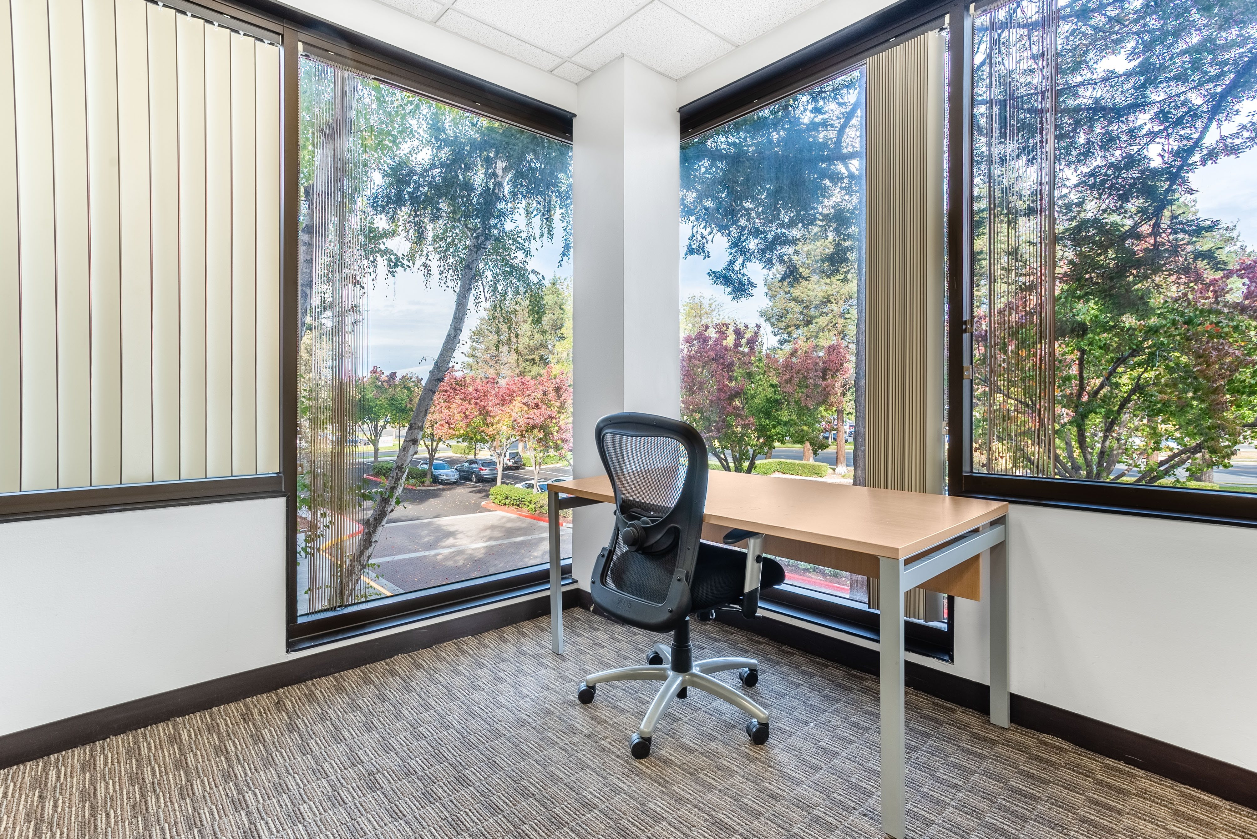 Office Space for Rent Fremont | Executive Suites | Offices to Let