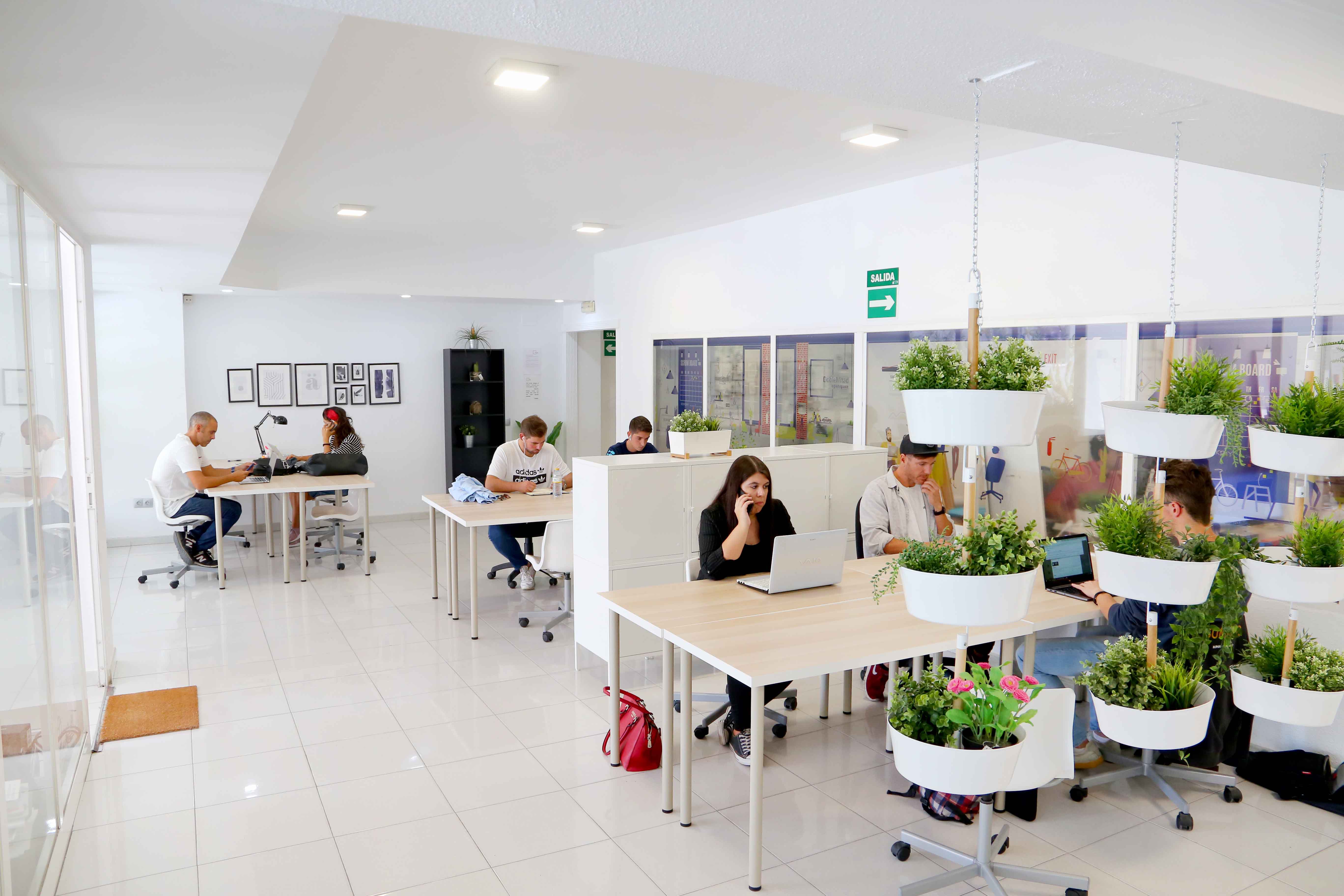 Espacios De Coworking En Alquiler Malaga Oficina Compartida