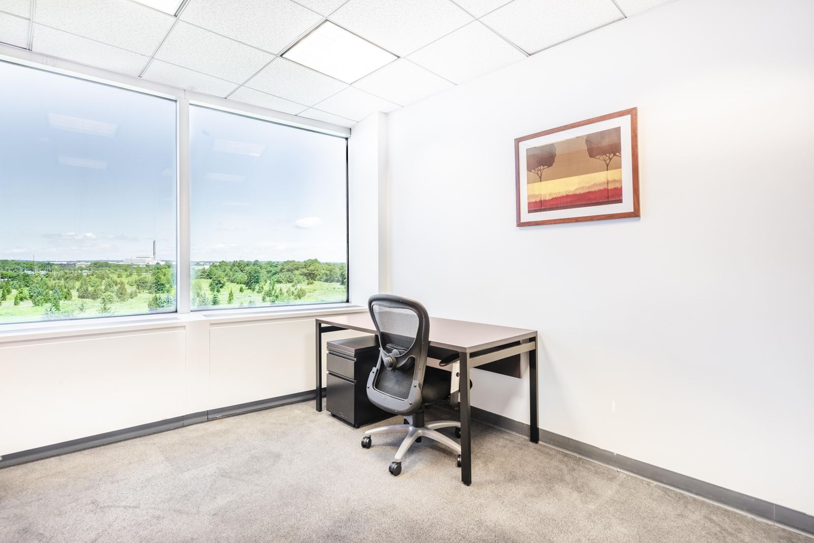 Office Space for Rent Garden City | Executive Suites